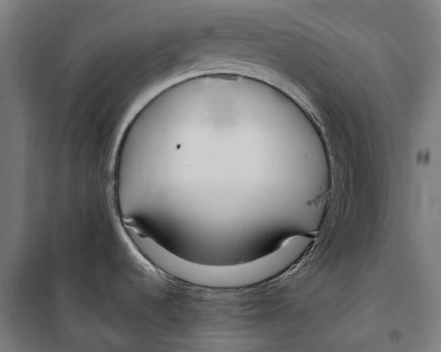 X0000099941536200806201108