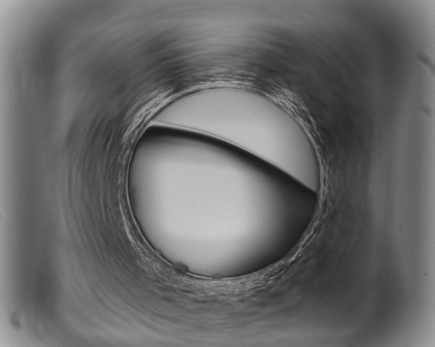 X0000099950001200805231013