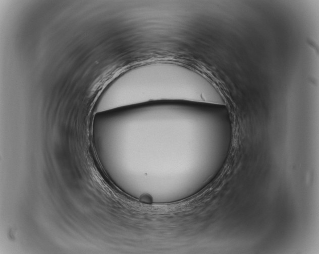 X0000099950002200805231013