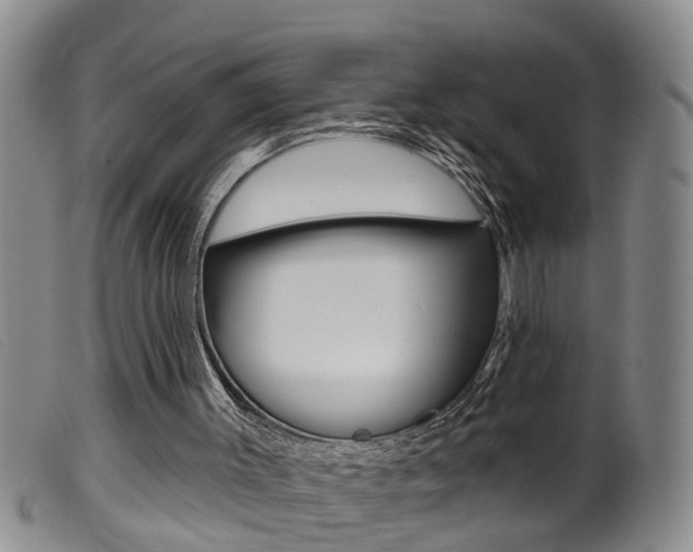 X0000099950003200805231013