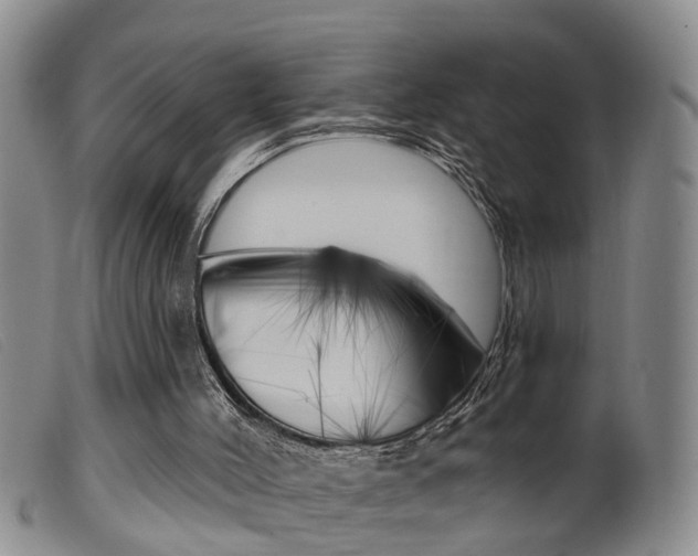 X0000099950004200805231013