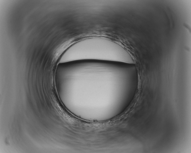 X0000099950005200805231013