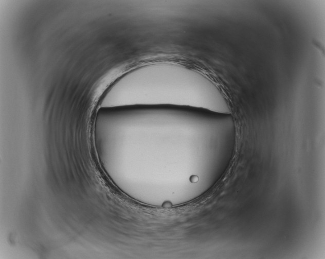 X0000099950006200805231013