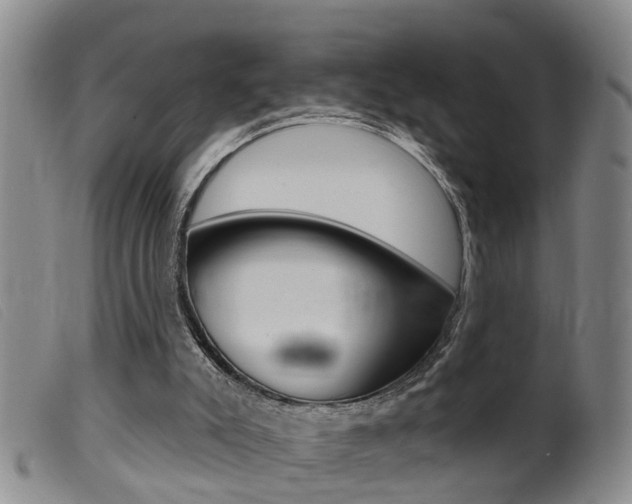 X0000099950007200805231013
