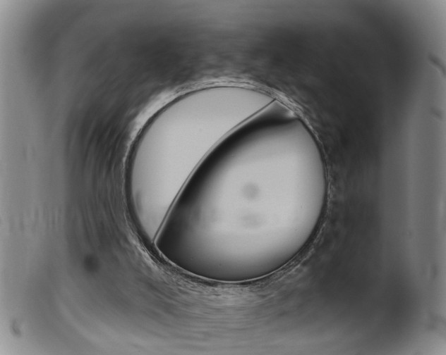 X0000099950008200805231013