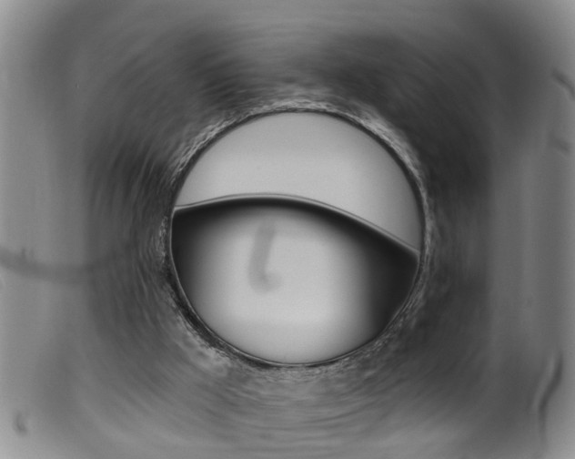 X0000099950009200805231013