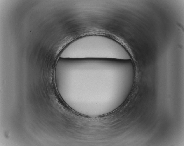 X0000099950010200805231013