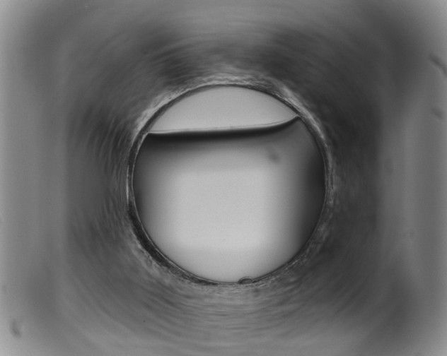 X0000099950011200805231013