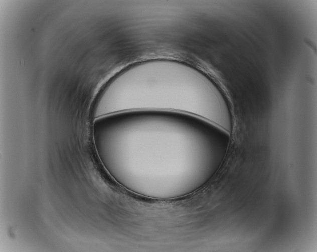 X0000099950012200805231013