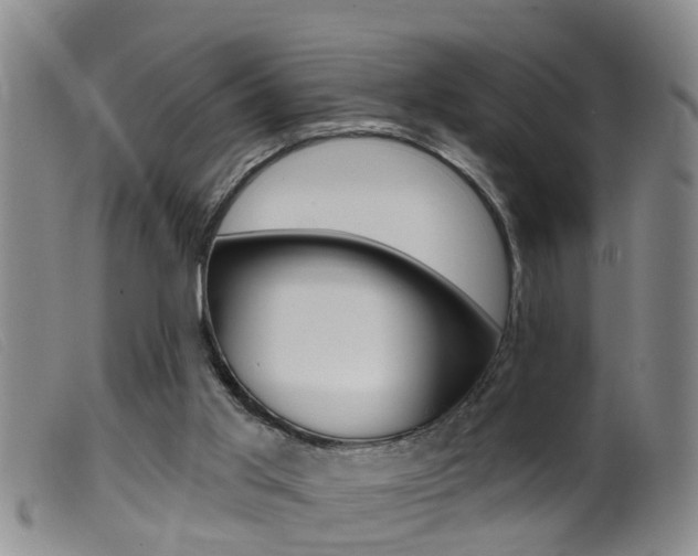 X0000099950013200805231013