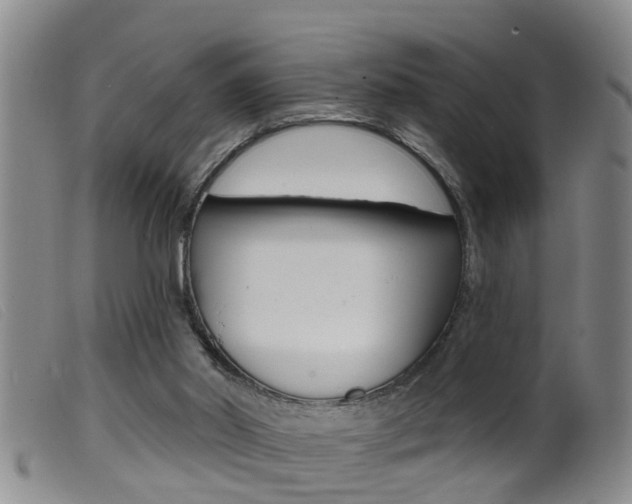 X0000099950014200805231013