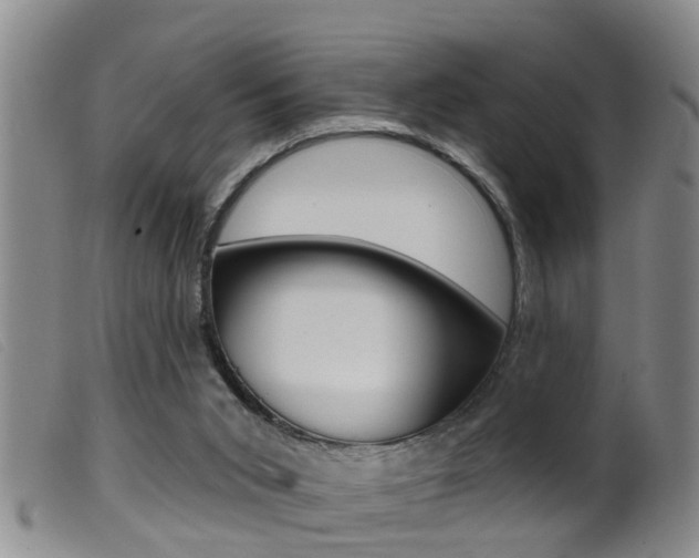 X0000099950015200805231013