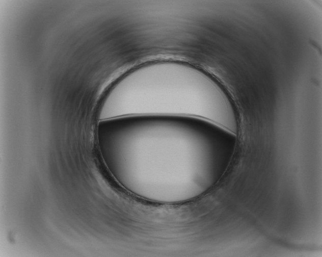 X0000099950016200805231013