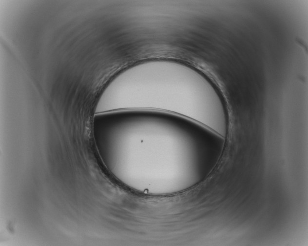 X0000099950017200805231013