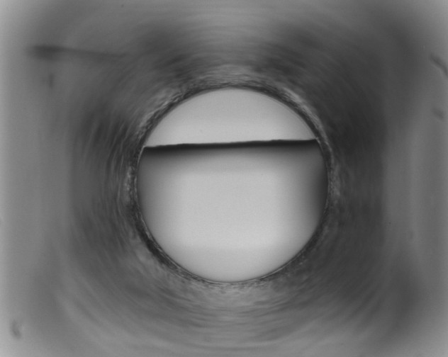 X0000099950018200805231013