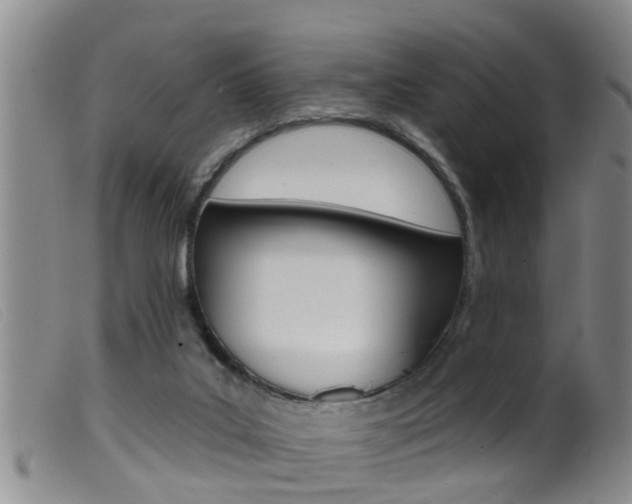 X0000099950019200805231013