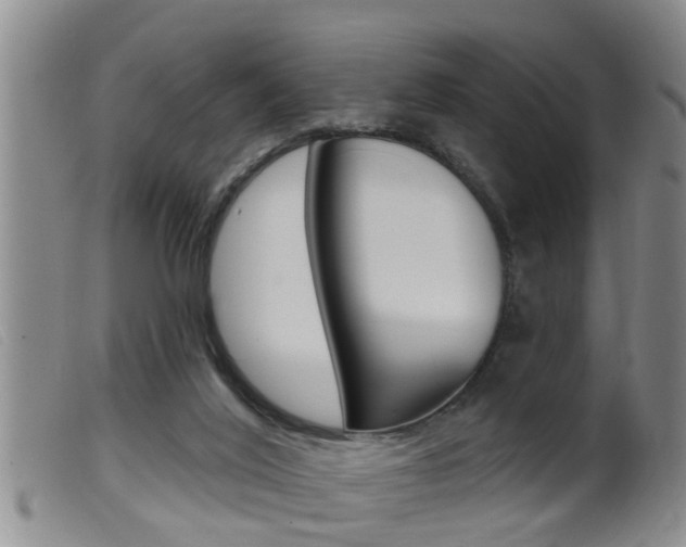 X0000099950020200805231013