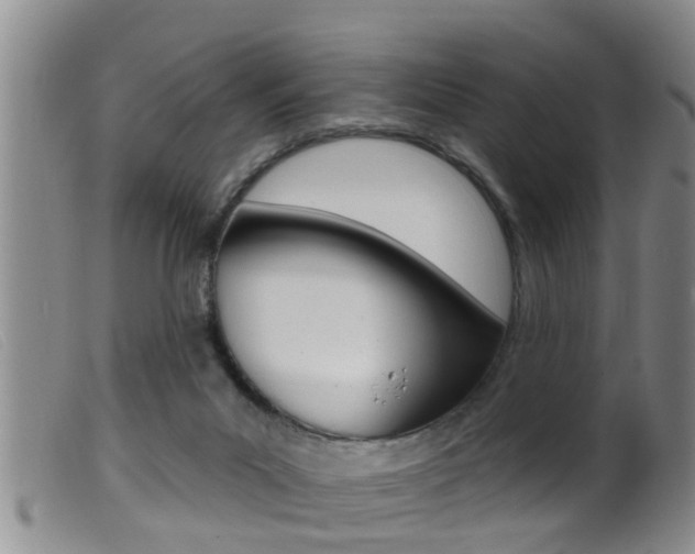 X0000099950023200805231013