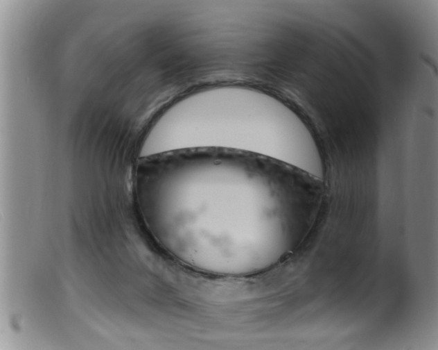 X0000099950024200805231013