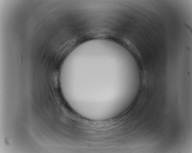 X0000099950026200805231013