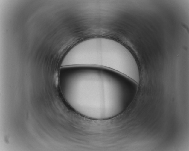X0000099950027200805231013