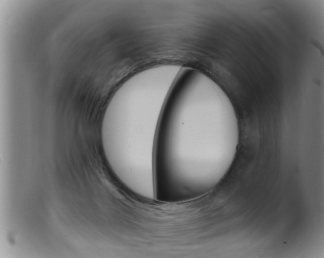 X0000099950028200805231013