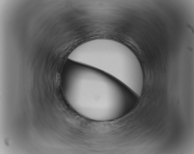 X0000099950029200805231013