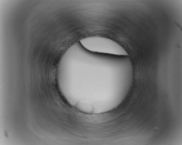 X0000099950030200805231013