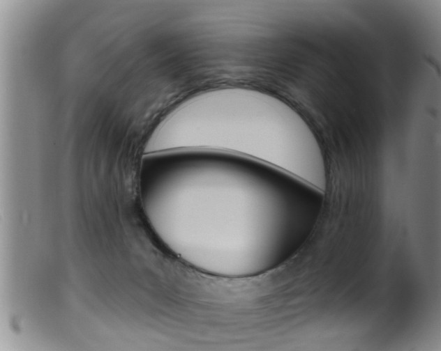 X0000099950031200805231013