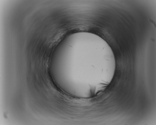 X0000099950032200805231013