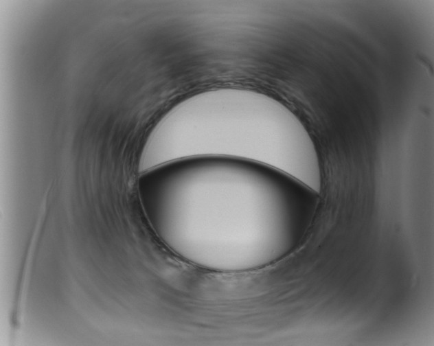 X0000099950033200805231013