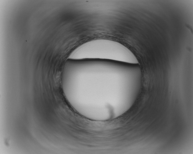 X0000099950034200805231013