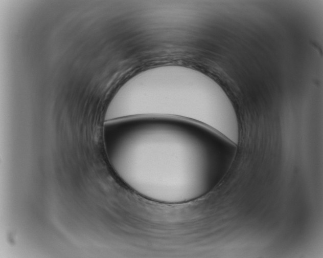X0000099950035200805231013