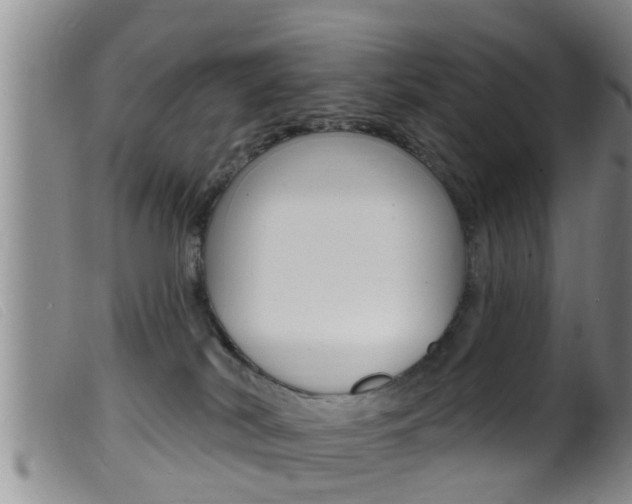 X0000099950038200805231013