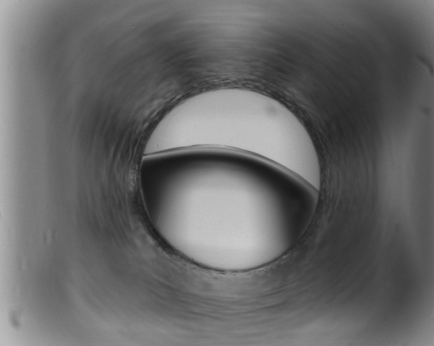 X0000099950039200805231013
