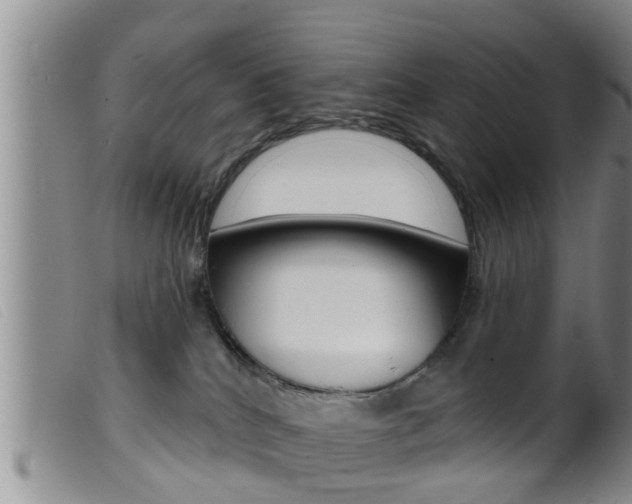 X0000099950040200805231013