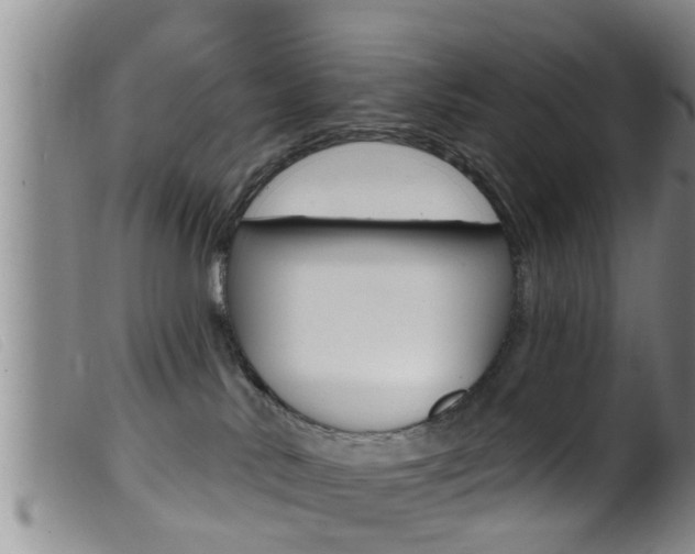 X0000099950042200805231013