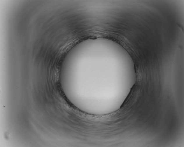 X0000099950043200805231013