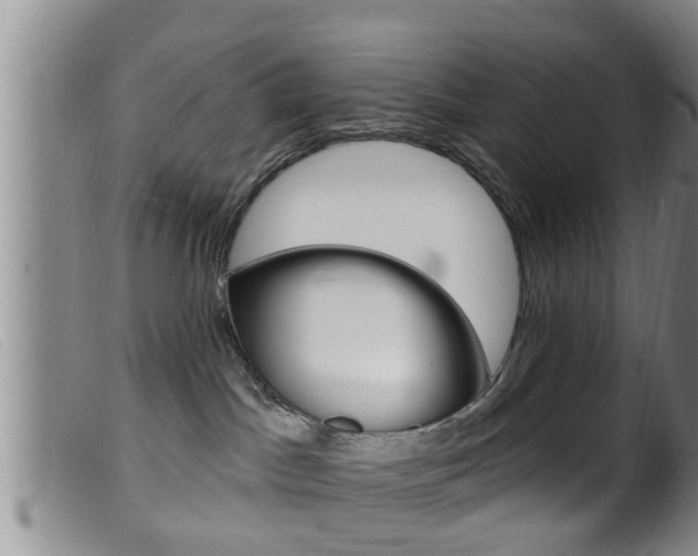 X0000099950045200805231012