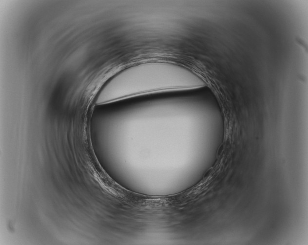 X0000099950050200805231012