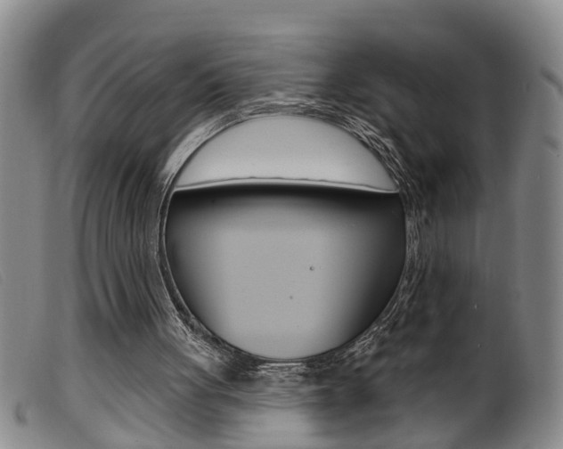 X0000099950051200805231012