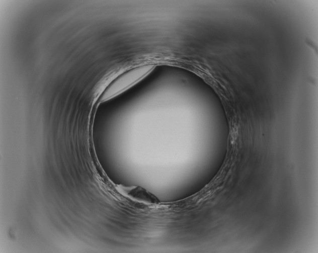 X0000099950052200805231012