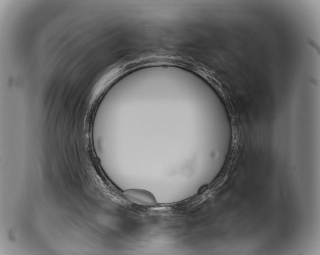 X0000099950053200805231012