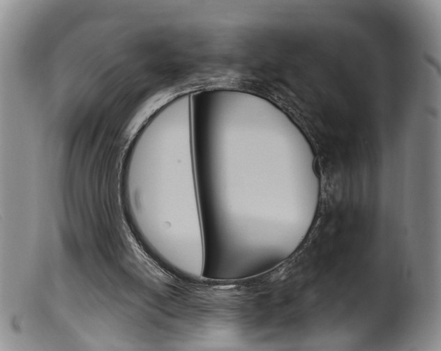 X0000099950054200805231012