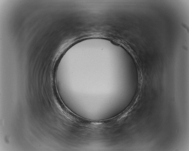 X0000099950055200805231012