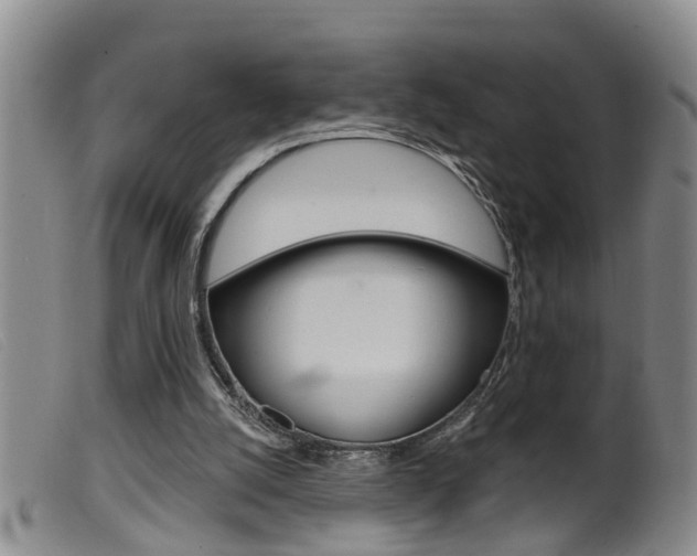 X0000099950056200805231012