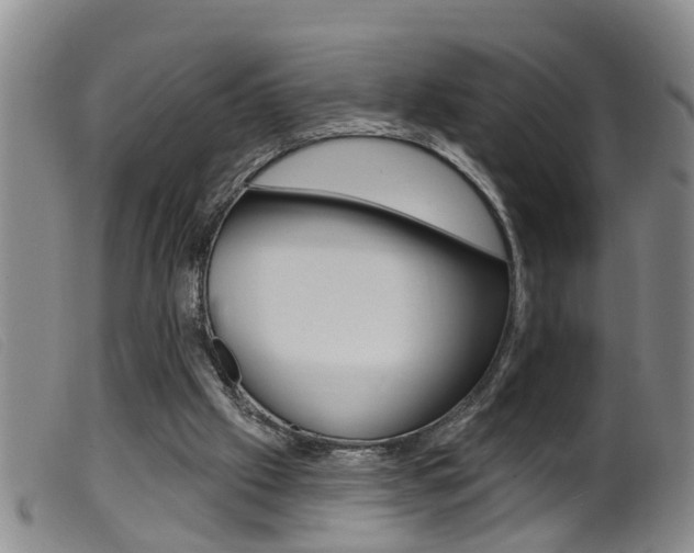 X0000099950057200805231012