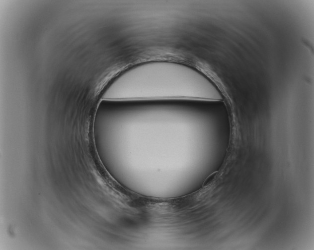 X0000099950058200805231012