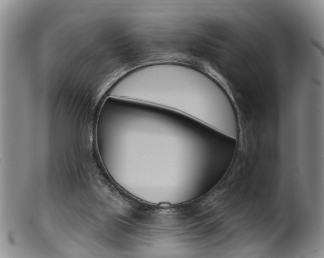 X0000099950059200805231012