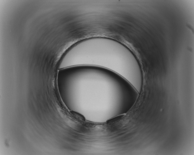 X0000099950060200805231012